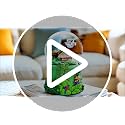 Rainforest Exploration Snow Globe with Moving Airplane & Music - Mouse Adventure Theme