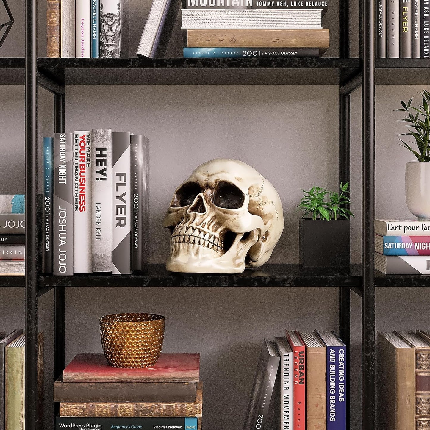 Resin Skull Decor - Human Head Model for Halloween Home Decoration & Bookshelf