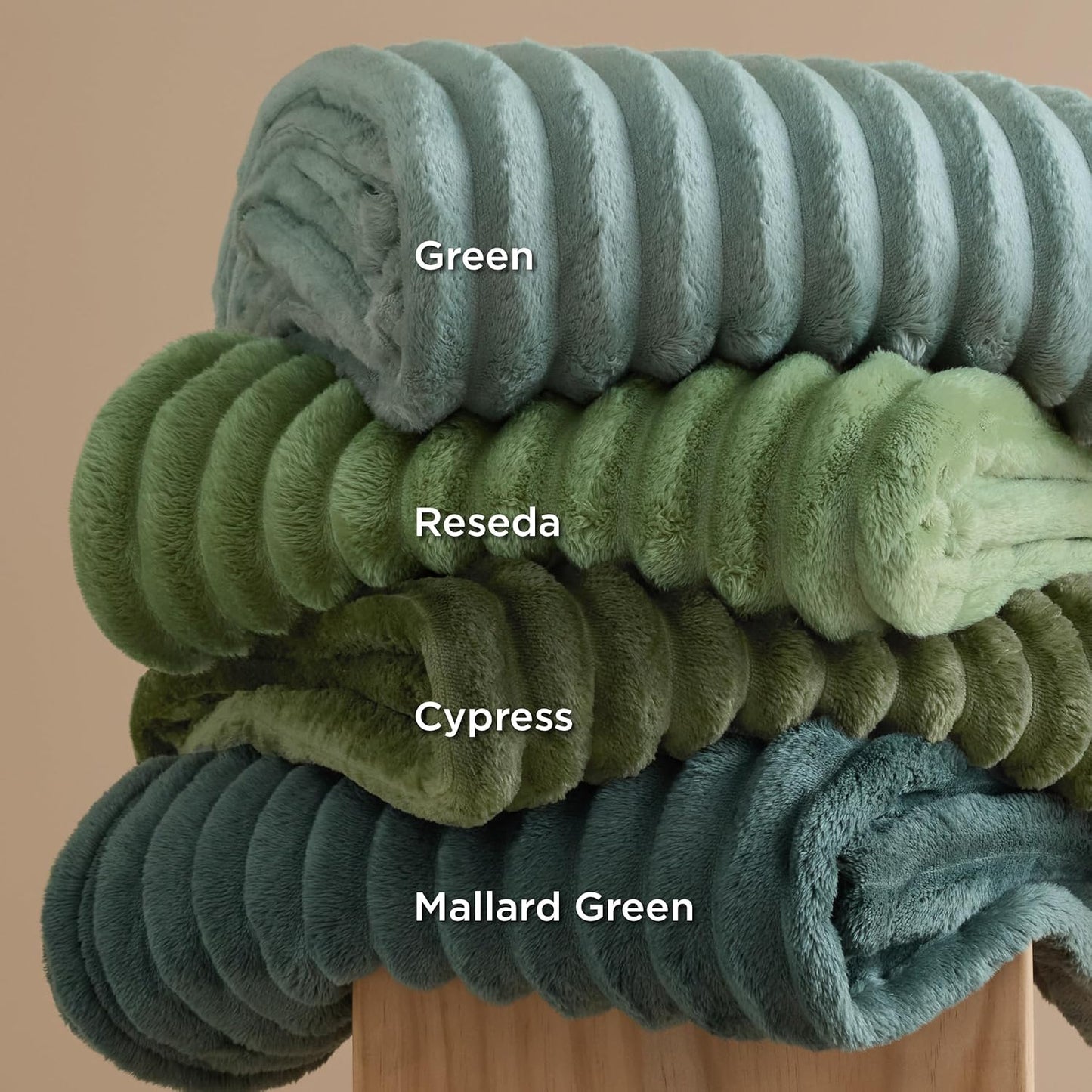 Bedsure GentleSoft Twin Blanket - Cozy Sage Green Fleece Throw for Women | 60x80 Inches