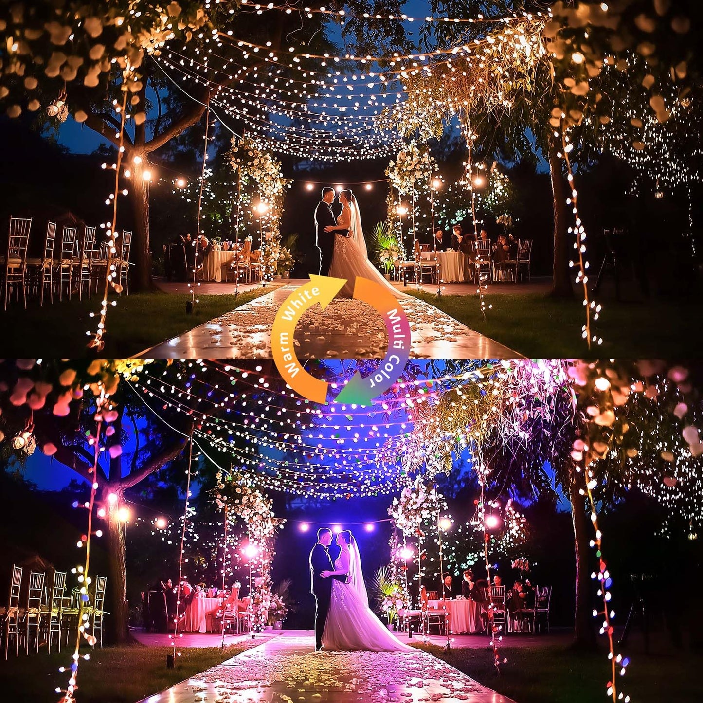 Ariceleo 1 Pack Warm White & Multi-Color Battery Operated String Lights, 5M/16.4ft. 50 LEDs Remote Control Timer 12 Modes Optional Twinkle Battery Powered Fairy Lights Sliver Wire Firefly Lights