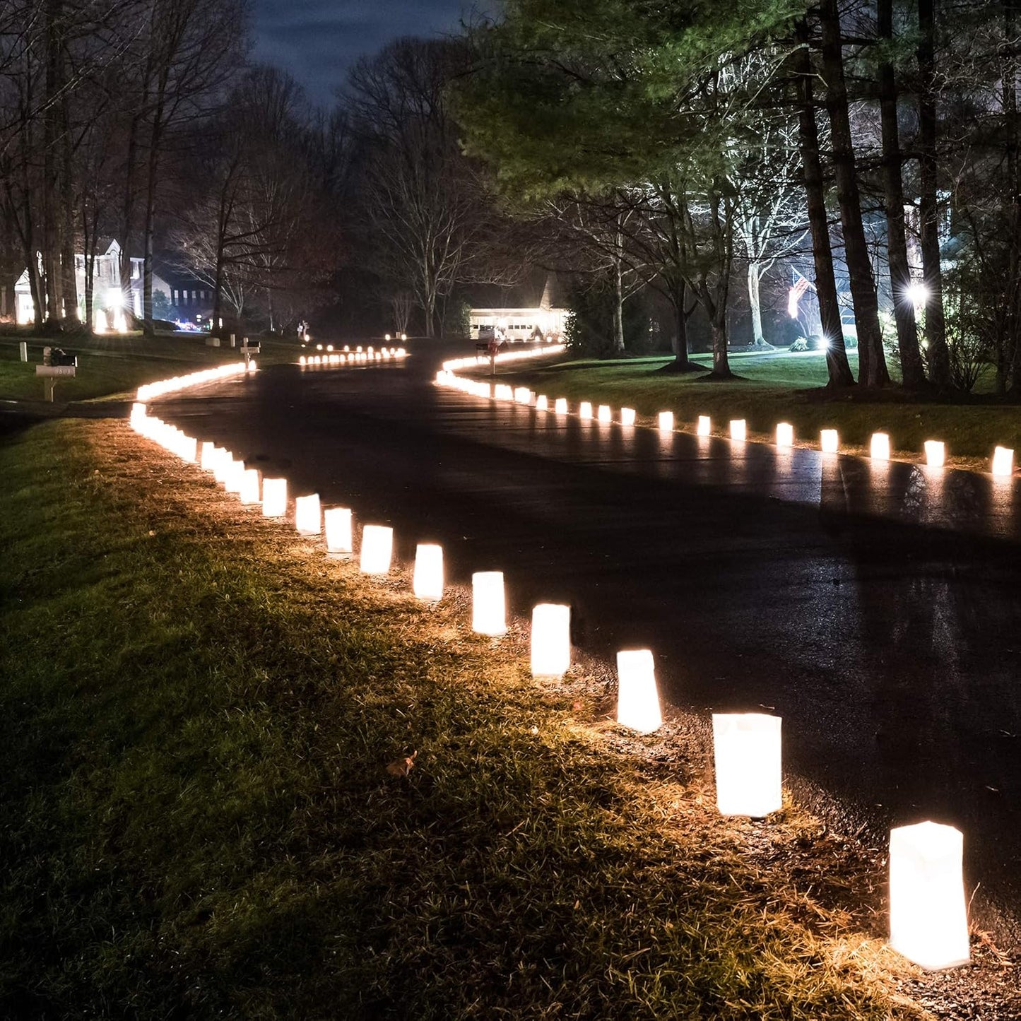 Gold LumaBase Paper Luminaria Bags - Set of 24 for Outdoor Decor