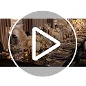Black and Gold Disposable Dinnerware Set for 100 Guests - Baroque Style Plates and Utensils