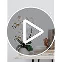Tall 17-Inch White Real Touch Orchid Artificial Flowers with Vase - A1 Variation