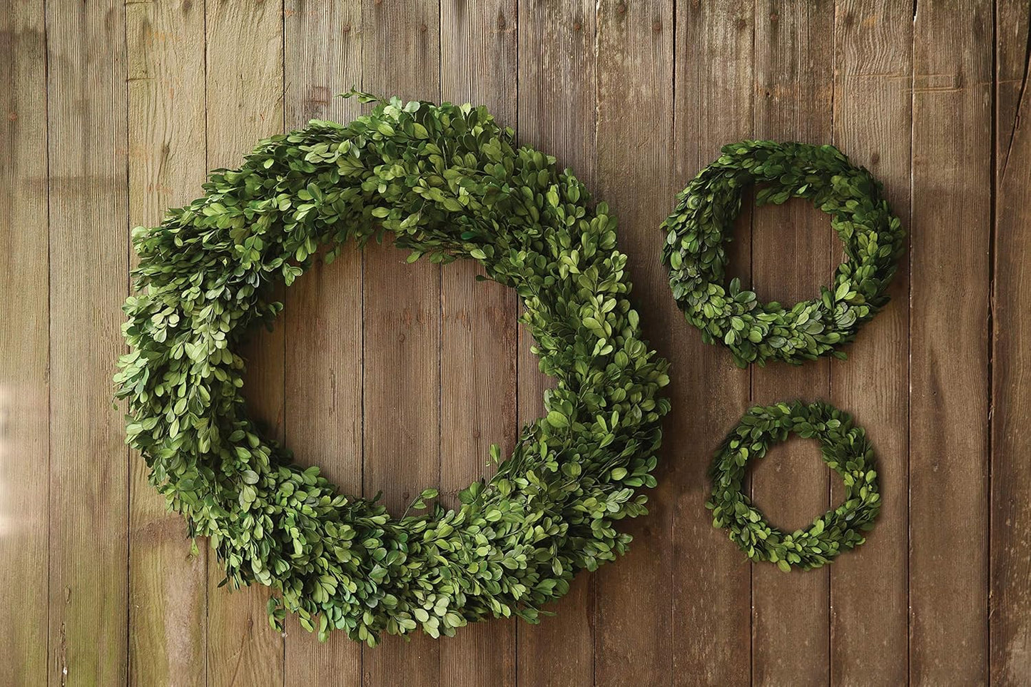 Preserved Boxwood Wreath - Authentic Decorative Greenery for Home Decor