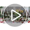 Nuogo 36 Pack Plastic Cylinder Vases 4'', 6'', 8'' Modern Centerpieces