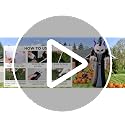 Elegear 10FT Skeleton Grim Reaper Inflatable with Motion-Activated Scream, RGB Lights
