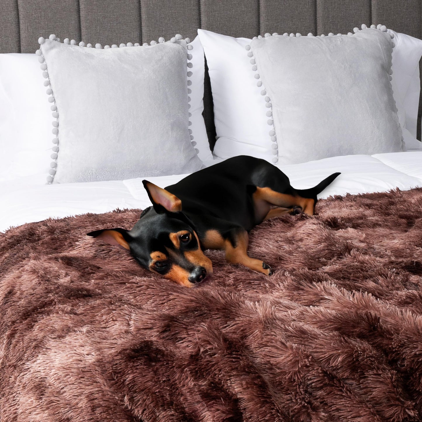 PAVILIA Brown Fluffy Throw Blanket for Couch, Twin Bed, Fuzzy Blanket for Women Men, Furry Plush Warm Blanket Bed Sofa, Super Soft Thick Faux Fur Sherpa Blanket Throw, Tie-Dye, 60x80