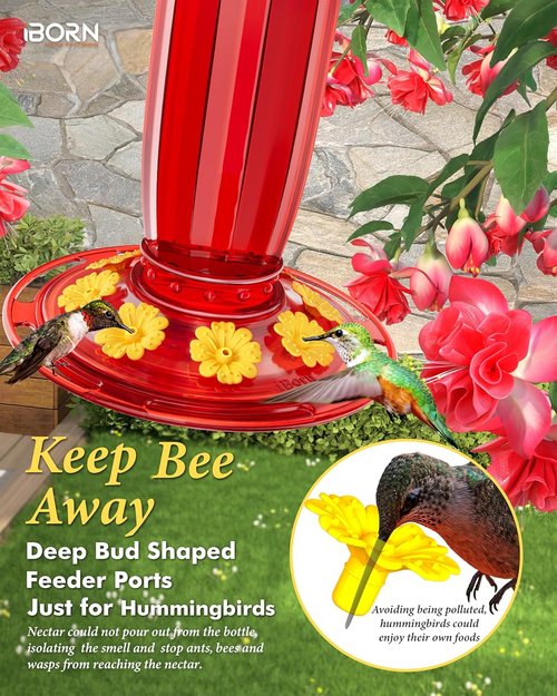 iBorn Hummingbird Feeder - 8-Port Glass Design with Ant Moat | 16oz Capacity, Yellow Flowers & Red Glass