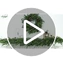 Artgar 9 Ft Christmas Cedar Garland - Realistic Greenery Cypress Garlands (Green 9ft)