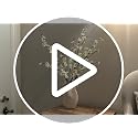 Artificial Cherry Blossom Branches - White, 4 Long Silk Flowers for Indoor Decor & Weddings