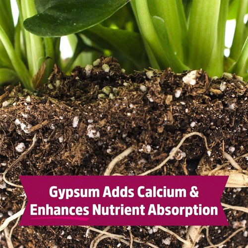 Back to the Roots 100% Organic Blood Meal - Premium Plant Nutrition for Indoor & Outdoor Gardening