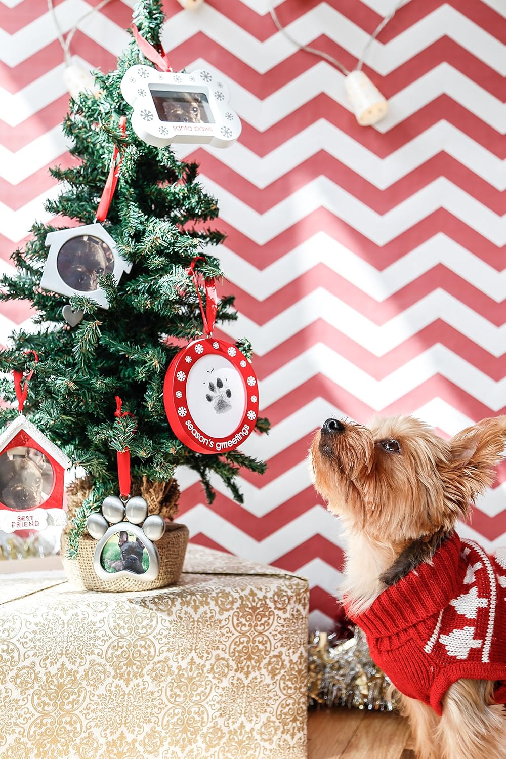 Double-Sided Christmas Pawprint Ornament for Dogs & Cats - DIY Keepsake with Clean-Touch Ink Pad