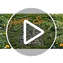 Keensoft 2PC Botanical Kitchen Rugs Set - Ink Moss Green, 17.3x28 & 17.3x59 Inches