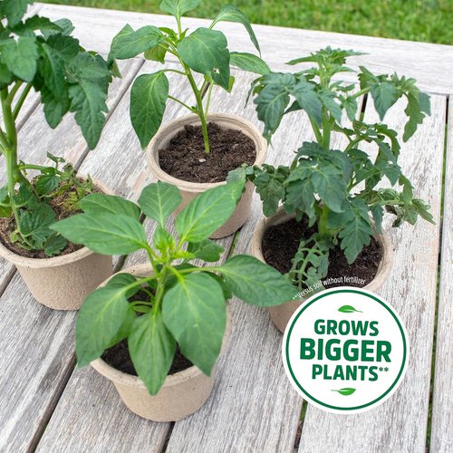 Back to the Roots 3-in-1 Seed Starting Mix - 100% Organic & USA Made, 6 Quarts for Herbs, Veggies & Flowers