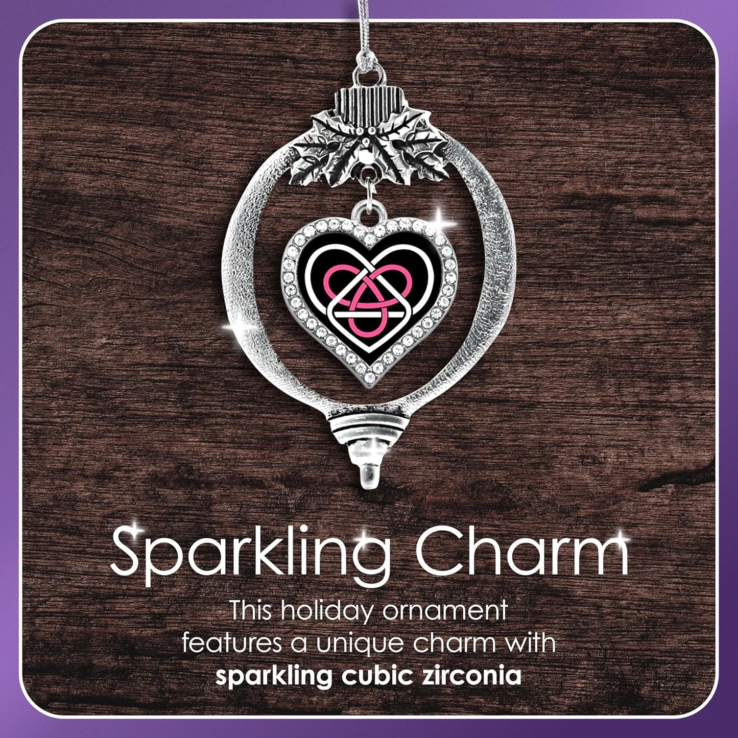 Silver Christmas Ornament - Physical Therapist Circle Charm with Cubic Zirconia - Holiday Decoration