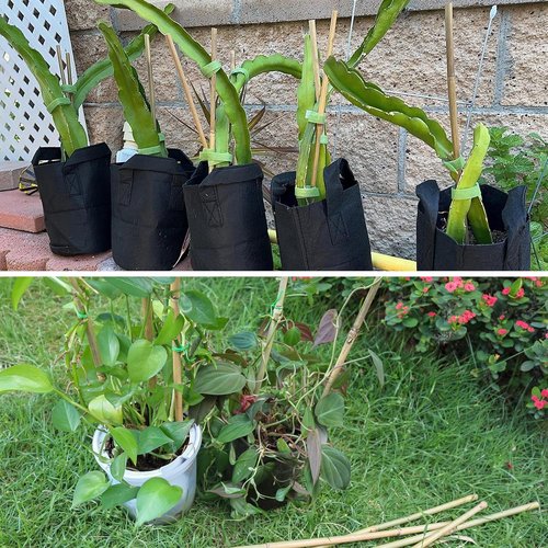 Bamboo Plant Stakes - 50 Pcs 18-Inch Support Sticks for Indoor/Outdoor Plants | Ideal for Tomatoes, Vegetables, and Climbing Plants