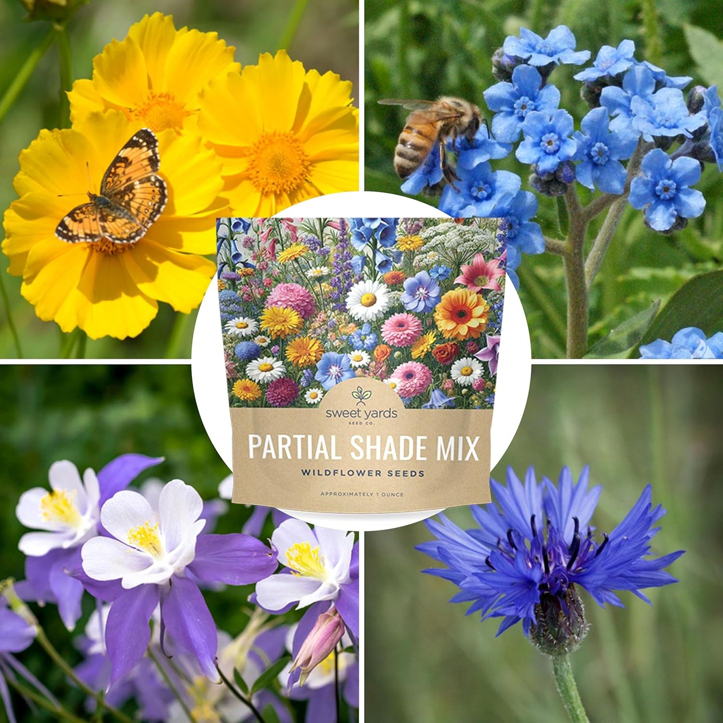 Wildflower Seeds - Partial Shade Mix with 7,000+ Open Pollinated Annual & Perennial Seeds - 1 Ounce
