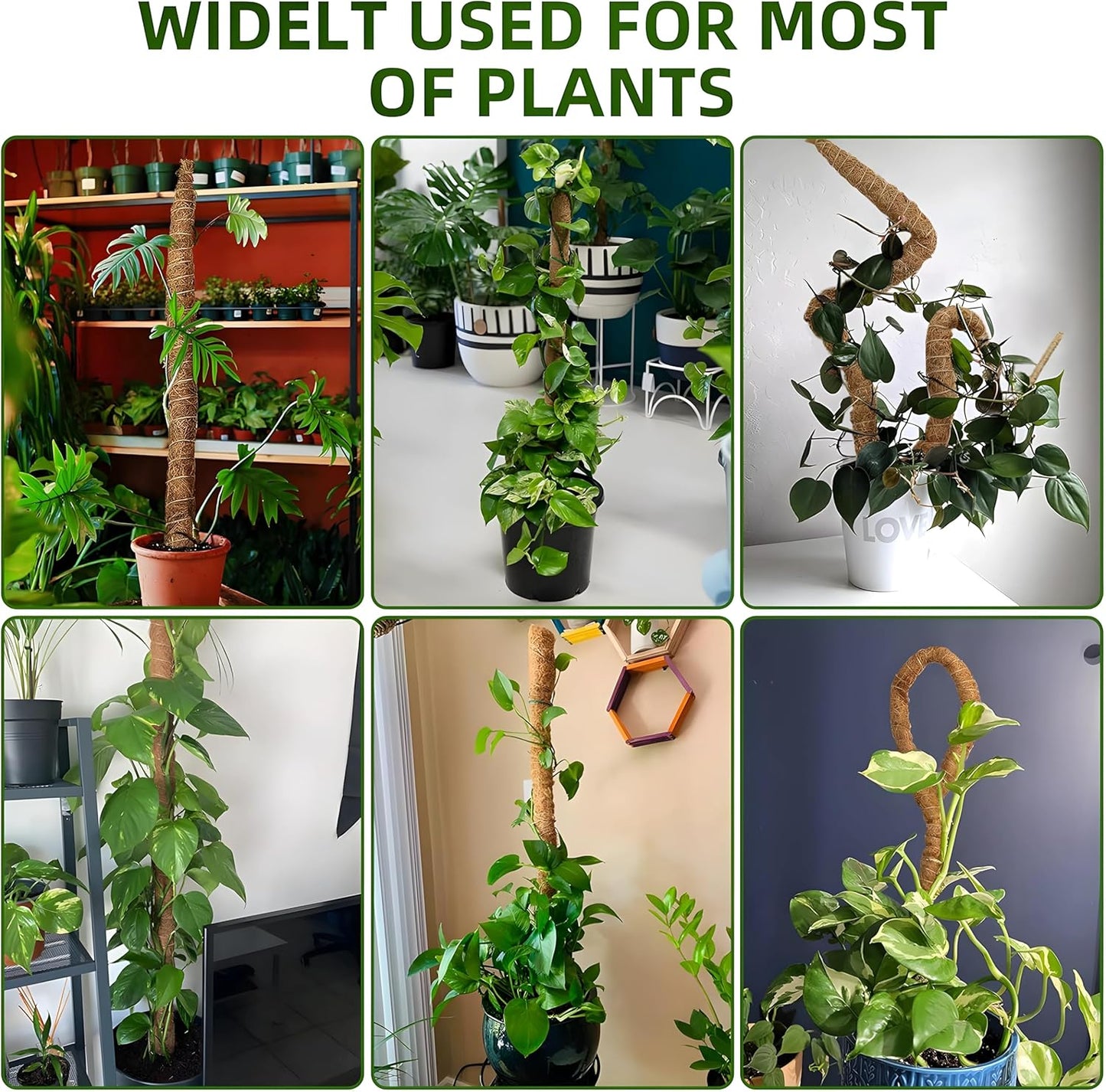 Skiennix 48'' Bendable Moss Poles - Flexible Trellis Support Stakes for Monstera & Climbing Plants