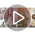 StangH White Ruffle Curtains 52x84 Inches Pack of 2 Shabby Chic Style