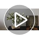 Cream Artificial Pompon Mum Flower Stems - 12 Pack, 27 Inch Faux Flowers for Vase & DIY Decor