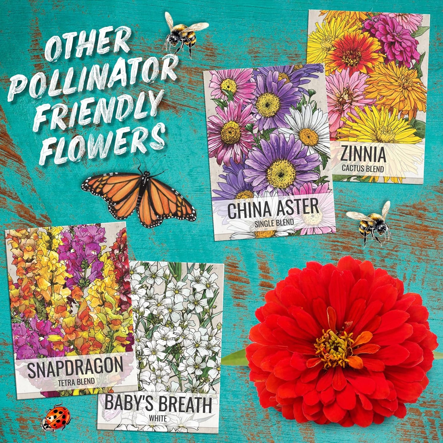Seed Needs Cosmos Flower Seeds - Crazy Blend of 10+ Varieties | Open Pollinated & Untreated | Resealable Packaging
