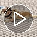Beige 6x9 Area Rug - Washable Geometric 3D Bubble Bedroom Living Room Decor