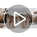 White Paper Umbrellas 24 Pack 33 Inch Wedding Parasol for DIY Crafts & Photography Props Variation of 24 / White