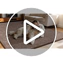 Keeko 4' x 6' Dark Grey Memory Foam Area Rug - Non-Slip, Washable, Soft Bedroom Carpet
