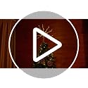 ElectricWise 15-Inch Gold LED Starburst Christmas Tree Topper with Timer & Battery