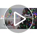 BOLWEO 592 LED Christmas Tree Lights Kit, 16 x 9.8ft Multicolor with 8 Modes, Indoor/Outdoor UL