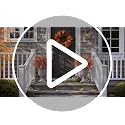 Artificial Fall Ferns Topiary Ball Trees Set of 2 for Porch & Garden Decor
