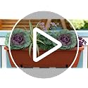 Purple Faux Cabbage for Outdoor Planters - 11.8 Inch Fall Decor (2 Pack)