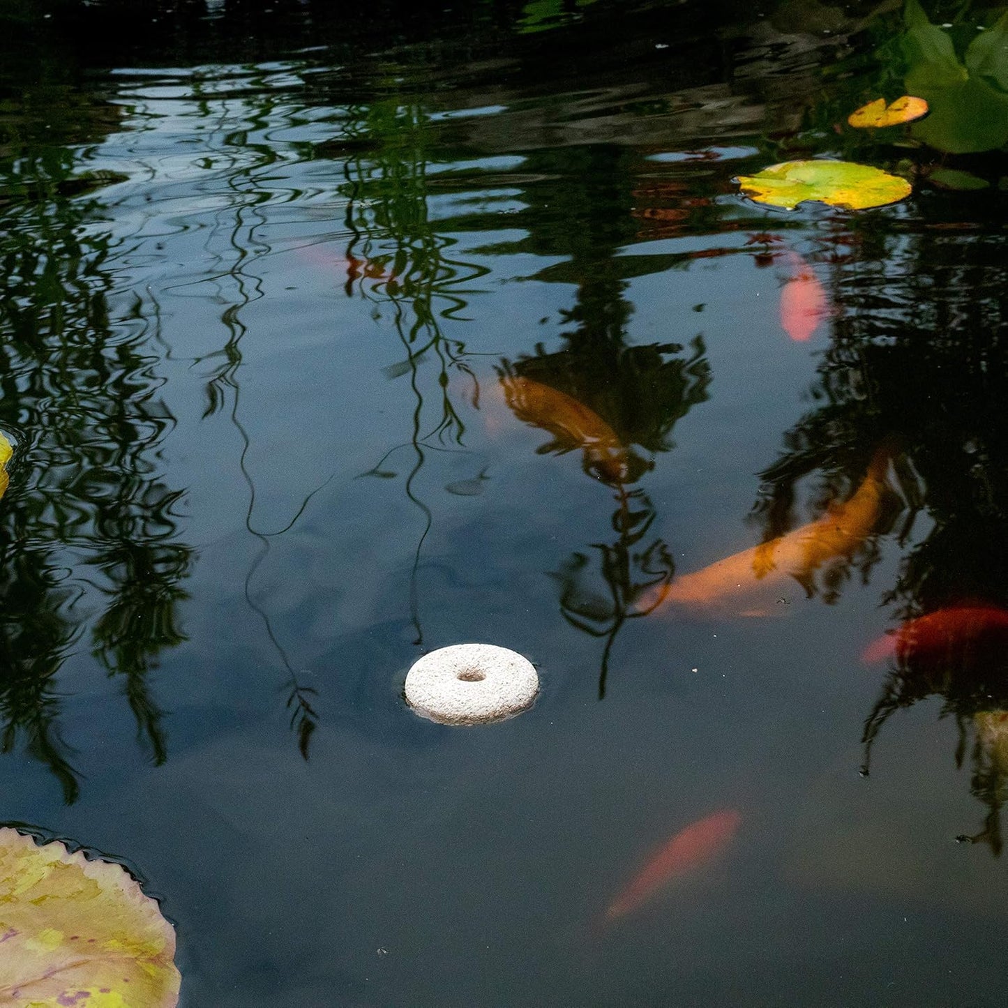 Summit 100 Count Mosquito Dunk - Natural, Eco-Friendly Solution for Mosquito Control