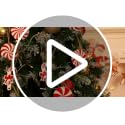 Wooden Peppermint Candy Cane Ornaments - 35-Pack Christmas Tree Decorations