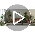 6 Ft Artificial Bird of Paradise Plant - Faux Indoor & Outdoor Tree with Plastic Pot