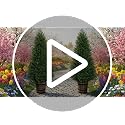Set of 2 Artificial Cedar Topiary Trees 4FT for Indoor & Outdoor Decor