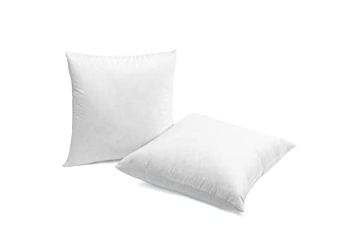 20x20 Inch Down Feather Pillow Inserts - Double Layered White Pack of 2
