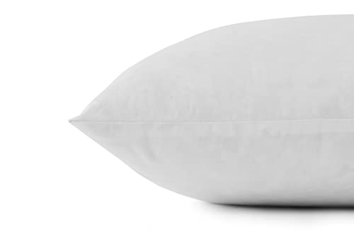 20x20 Inch Down Feather Pillow Inserts - Double Layered White Pack of 2