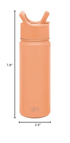 Simple Modern Water Bottle with Straw Lid Vacuum Insulated Stainless Steel Metal Cup Bottles | Reusable Leak Proof BPA-Free Flask for Gym Sports | Summit Collection | 22oz, Raspberry Vibes