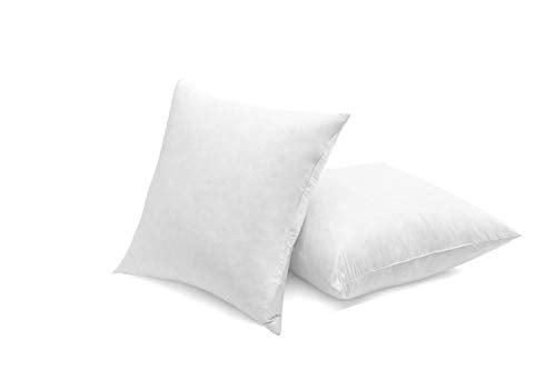 20x20 Inch Down Feather Pillow Inserts - Double Layered White Pack of 2