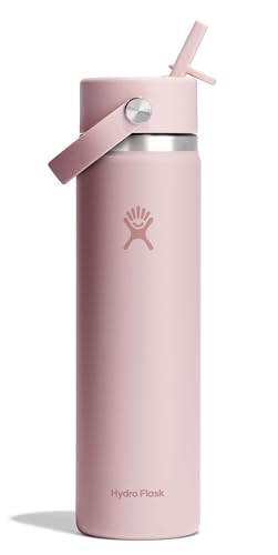 Insulated 24oz Stainless Steel Water Bottle with Leakproof Straw Lid - Pink