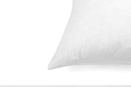 20x20 Inch Down Feather Pillow Inserts - Double Layered White Pack of 2