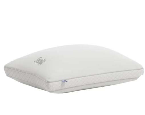 Down-Alternative Sleep Pillow Set with Tencel Cover - 2 Pack, 18x26 inches