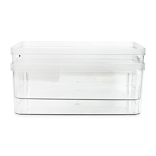 Isaac Jacobs 2-Pack Large Clear Storage Bins - Rectangle, 11.5 x 14 x 5.5 inches