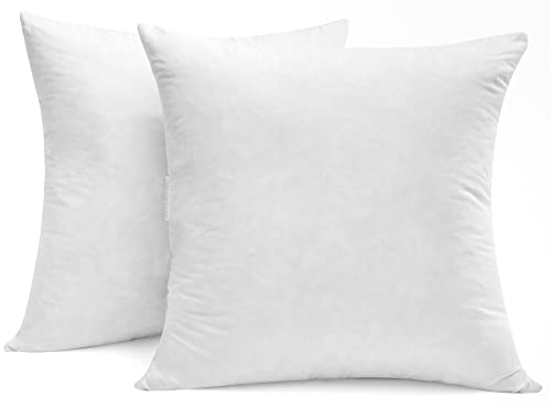 20x20 Inch Down Feather Pillow Inserts - Double Layered White Pack of 2