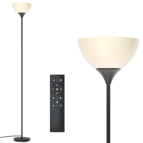 PESRAE Matte Black Foldable Floor Lamp with Remote Control & Stepless Dimming