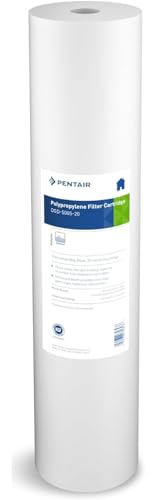 Pentair Pentek DGD-5005-20 Big Blue Water Filter Cartridge 5 Micron Pack of 1