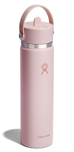 Insulated 24oz Stainless Steel Water Bottle with Leakproof Straw Lid - Pink
