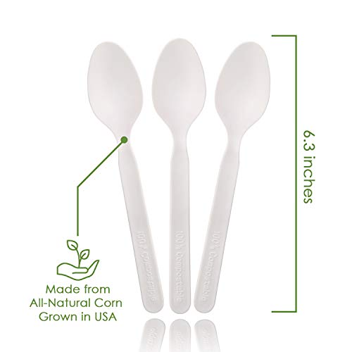 Ecovita Ivory White Compostable Disposable Spoons - 140 Large Eco-Friendly Cutlery, Heat Resistant, 6.3in., Tray Included