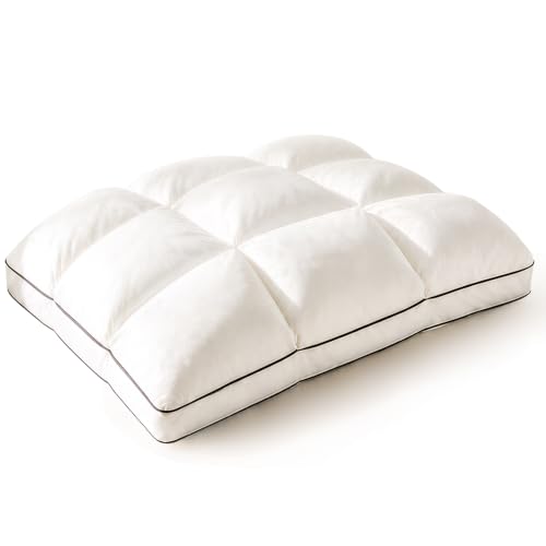 Queen Size Dual-Layer Goose Feather Down Pillow - White, Supportive & Soft